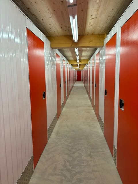 photos
